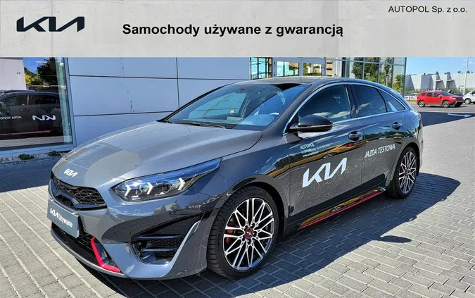 kia pro_cee'd kujawsko-pomorskie Kia Pro_cee'd cena 159900 przebieg: 8000, rok produkcji 2023 z Myślenice